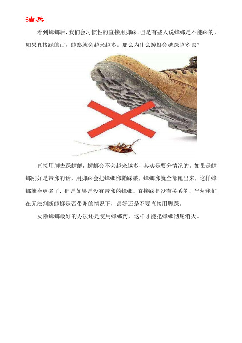 蟑螂是不是不能踩 鞋踩蟑螂后鞋上有卵吗