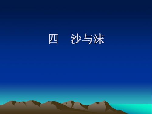 语文：第4课《沙与沫》课件(长春版七年级下)