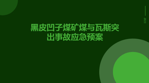 黑皮凹子煤矿煤与瓦斯突出事故应急预案