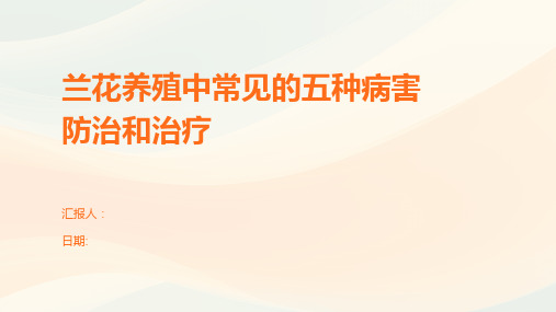 兰花养殖中常见的五种病害防治和治疗