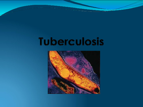 tuberculosis-结核病。