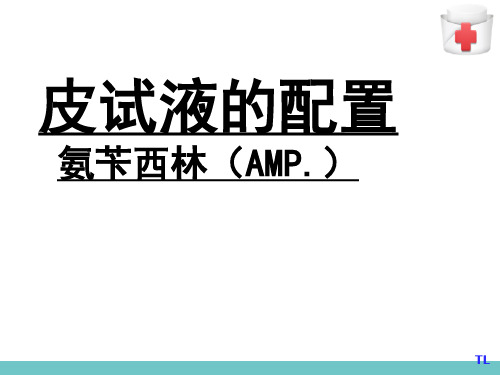 患者基本治疗与护理—药物过敏试验法