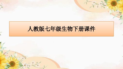 4.1.2人的生殖课件人教版生物七年级下册2