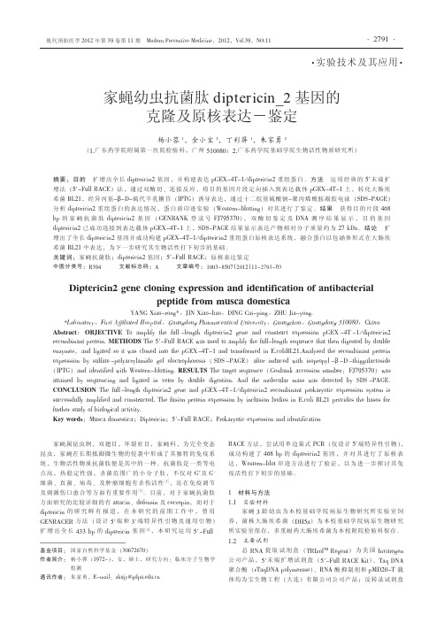 家蝇幼虫抗菌肽diptericin_2基因的克隆及原核表达-鉴定