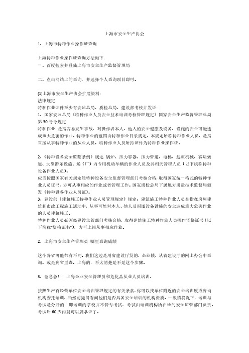上海市安全生产协会安全生产