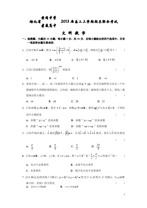 湖北省黄冈中学2013届高三上学期期末考试数学(文)试题