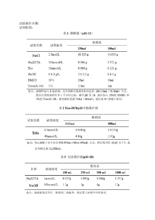 彗星试验方法