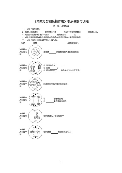 《减数分裂和受精作用》考点讲解与训练