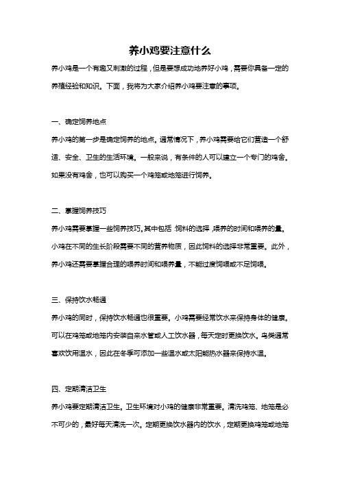 养小鸡要注意什么