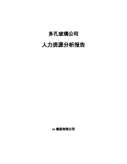 多孔玻璃公司人力资源分析报告（范文）