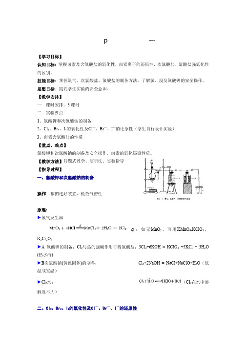 无机化学实验 p区非金属元素---卤素