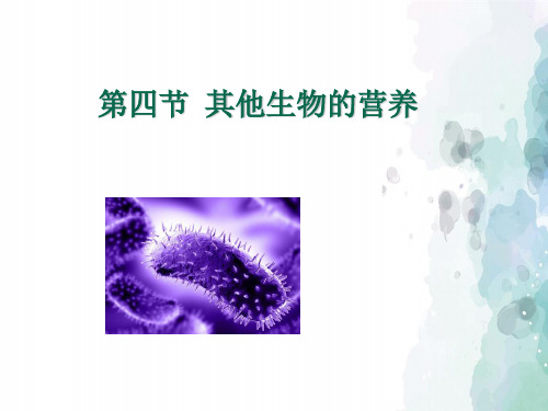 北京课改版生物-七年级上册-高效备课 《其他营养方式》 课件2