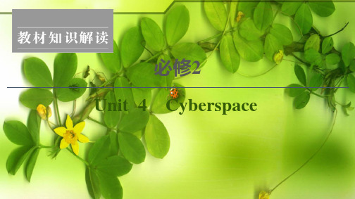 高考英语一轮复习 unit 4 cyberspace课件_00001