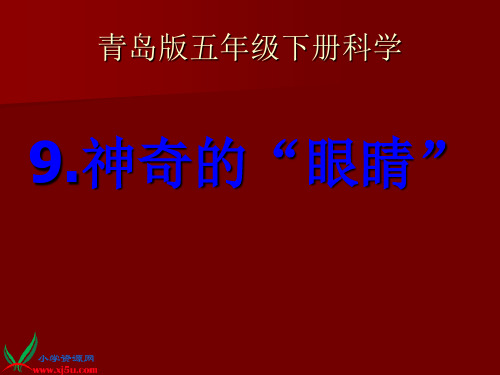 青岛版五年级科学下册——9.神奇的眼睛课件