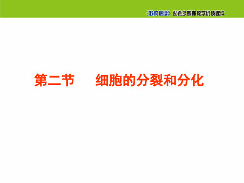 济南版七年级生物课件-细胞的分裂和分化