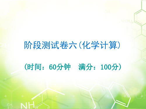 2020届广东省中考必备化学总复习课件：阶段卷六(共30张PPT)