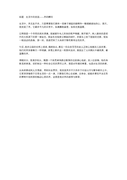 我发现了美作文400字