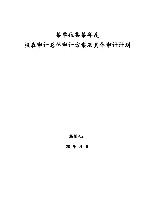 某单位某年  年报审计方案即具体审计措施