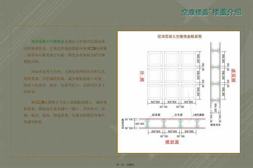 现浇混凝土空腹无梁楼盖