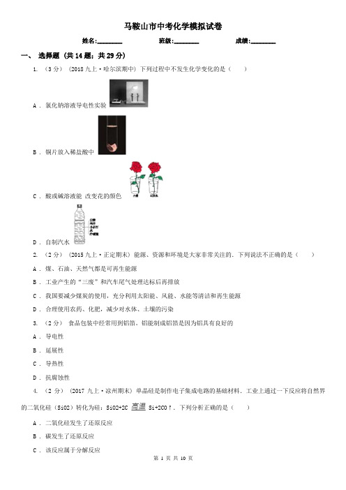 马鞍山市中考化学模拟试卷  