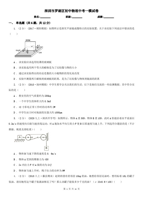 深圳市罗湖区初中物理中考一模试卷