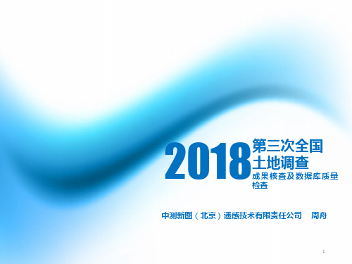 6-国土三调成果核查及数据库质量检查(34p)