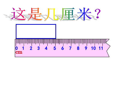 《1米有多长》