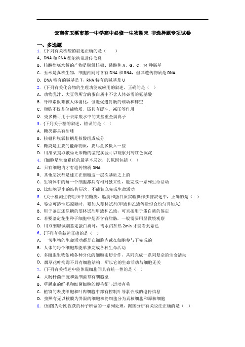 云南省玉溪市第一中学高中必修一生物期末 非选择题专项试卷