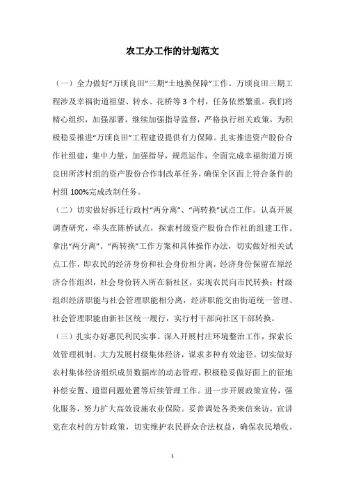 2020年农工办工作的计划范文