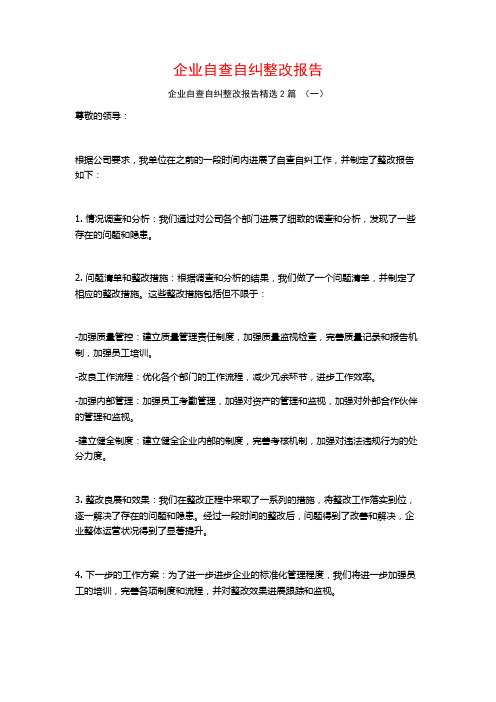 企业自查自纠整改报告2篇