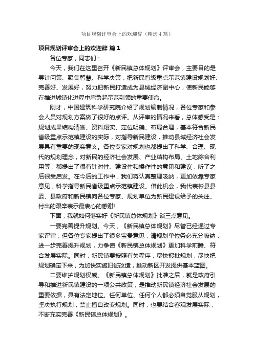 项目规划评审会上的欢迎辞（精选4篇）