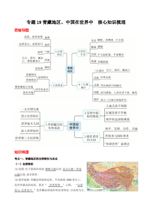 专题19 青藏地区、中国在世界中(全国通用)