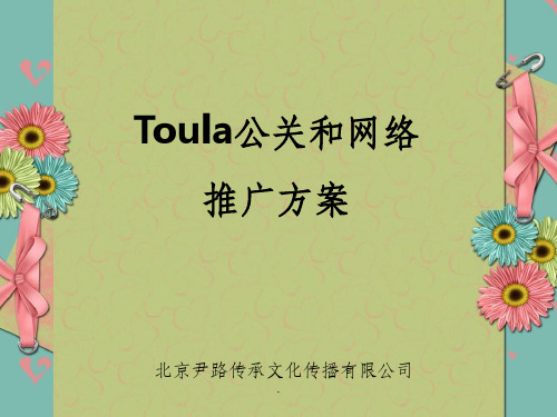 Toula公关和网络推广方案