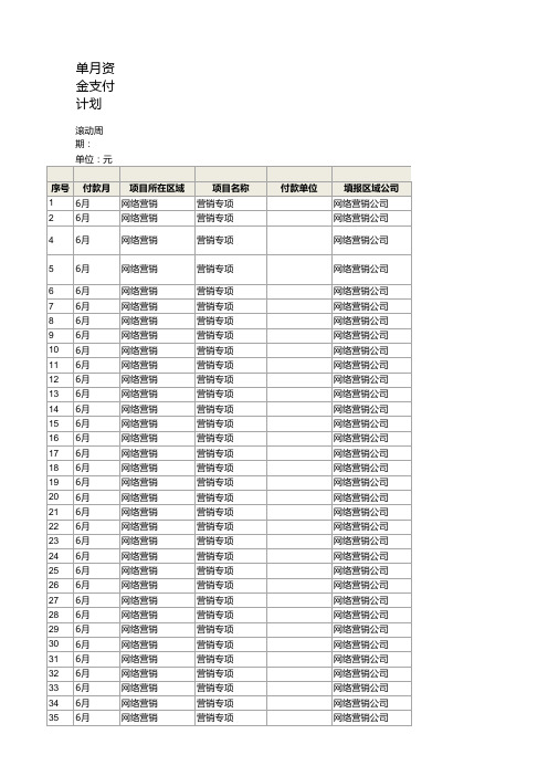 月度资金支付计划表