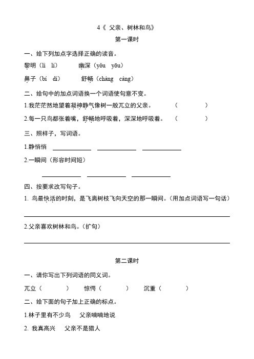 S版三年级语文上册4《 父亲、树林和鸟》课后作业练习题附答案