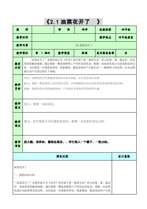 小学四年级科学 油菜花开了