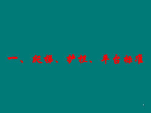 爬梯护栏平台标准及压力管道标识规定精品PPT课件