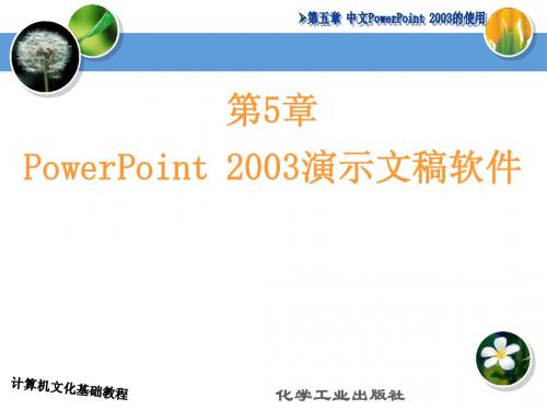 第5章 中文PowerPoint 2003的使用