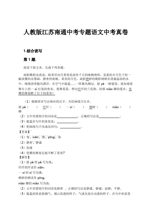 人教版江苏南通中考专题语文中考真卷试卷及解析