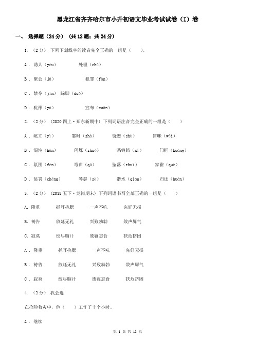 黑龙江省齐齐哈尔市小升初语文毕业考试试卷(I)卷