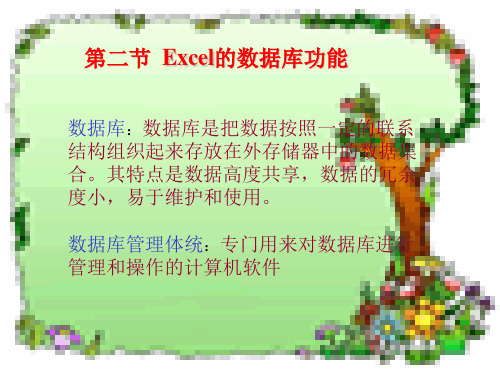 Excel的数据库功能