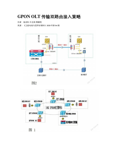 GPON OLT传输双路由接入策略 