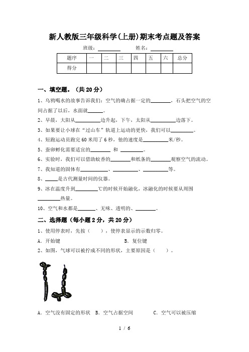 新人教版三年级科学(上册)期末考点题及答案