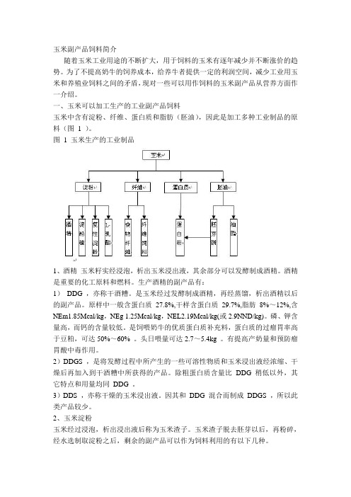 玉米副产品饲料简介