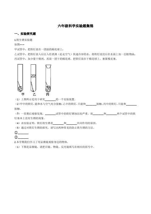 六年级科学下册实验题(含答案)