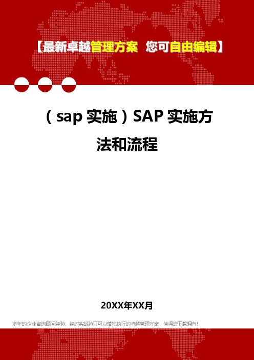 2020年(sap实施)SAP实施方法和流程