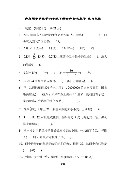 青岛版小学数学六年级下册小升初总复习试题及答案全套