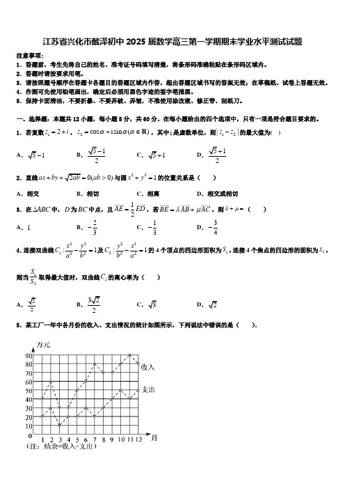 江苏省兴化市戴泽初中2025届数学高三第一学期期末学业水平测试试题含解析