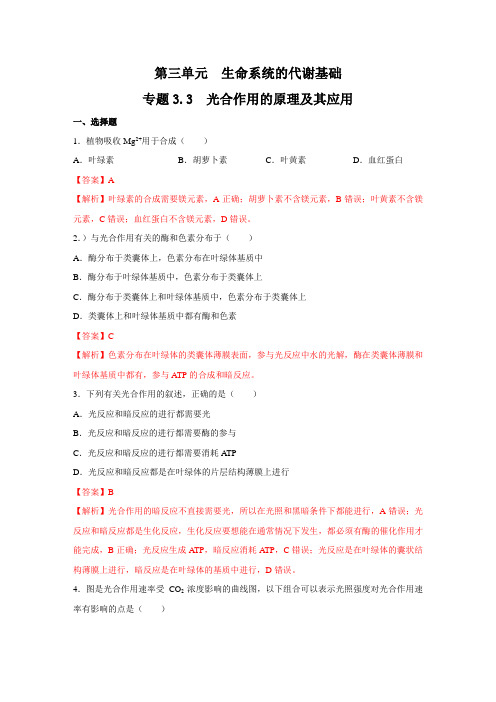 专题3.3 光合作用的原理及其应用(核心素养练习)(解析版)