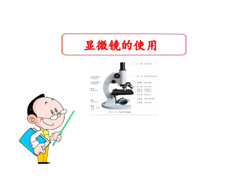 2019年全国中考生物 复习：显微镜的使用课件 (共36张PPT)